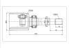 球籠 CV Joint:NI-589-Model