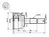 球籠 CV Joint:39100-01B02