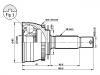 球籠 CV Joint:49500-17150